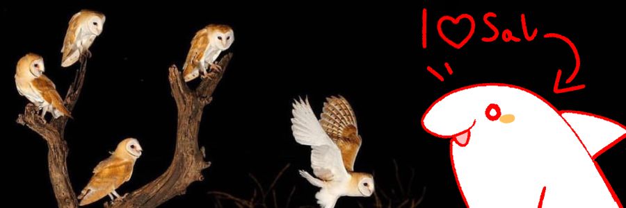 owlposting's banner