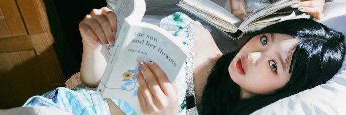 Duckling's banner