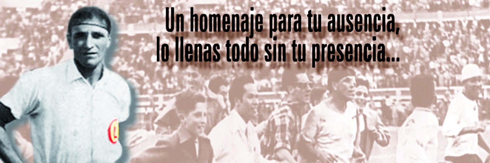FITO PALAO's banner