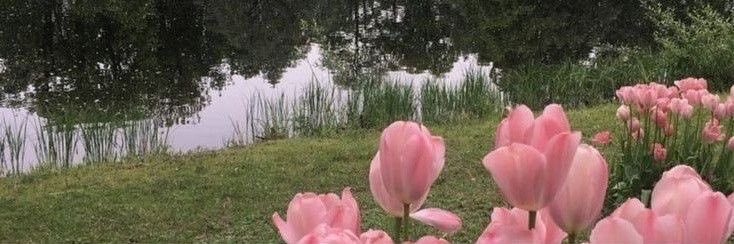 flora 🫂's banner