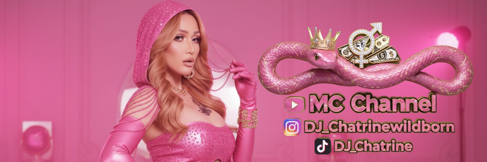 Transgender Artist VIP's banner