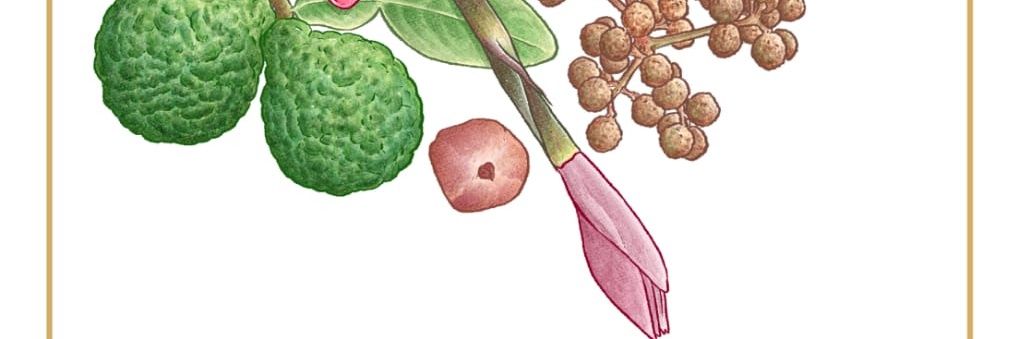 Spicespunk's banner