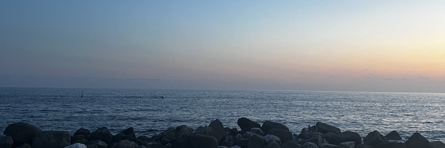 Anita's banner