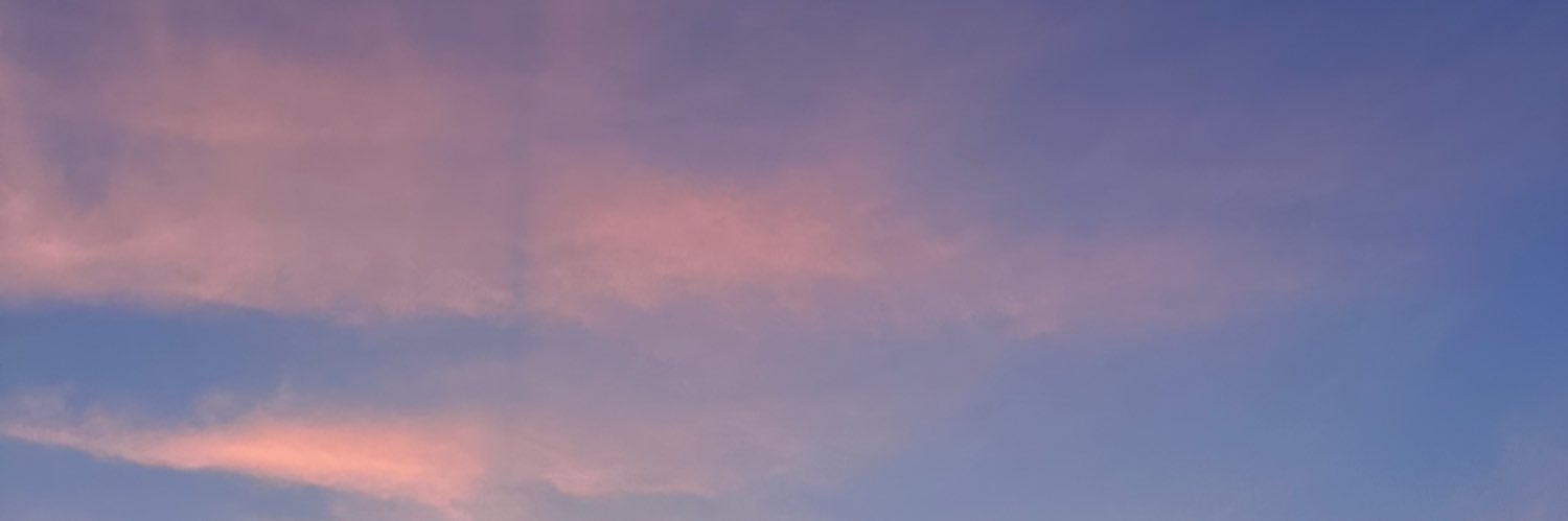 Andrea Fernández. 🇪🇺's banner