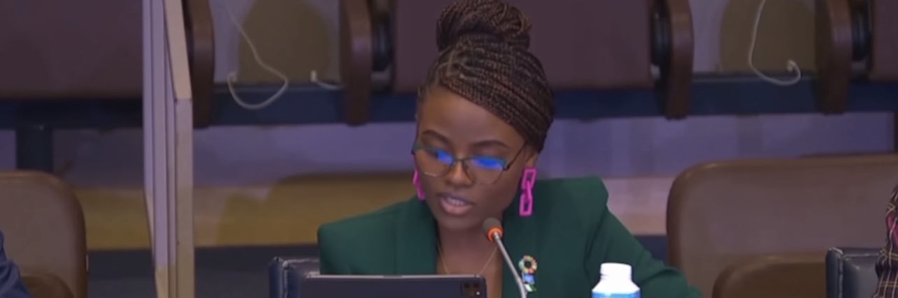 Temilade Salami | Environmentalist's banner
