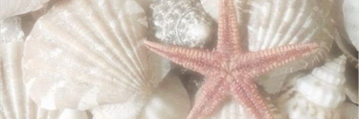 Mel⁷𓇼's banner