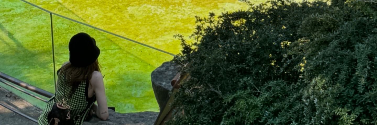 얍's banner