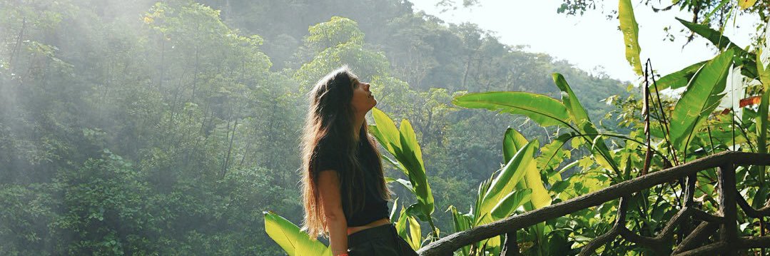 Alliestrasza's banner
