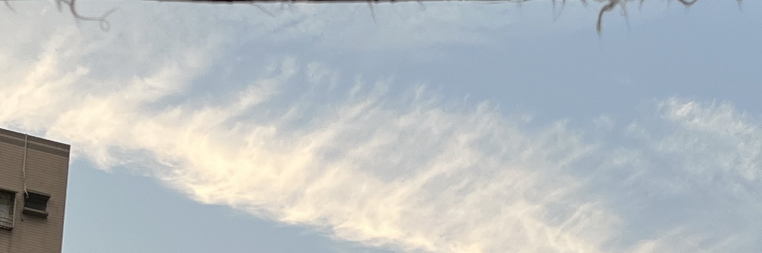 1533333🪸's banner
