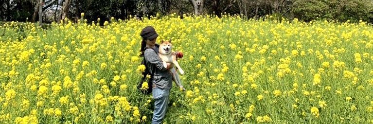 柴犬おこげと保護猫わらび's banner