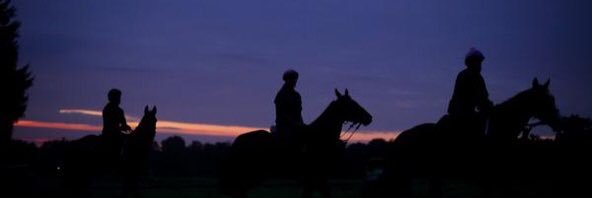 競馬動画集's banner