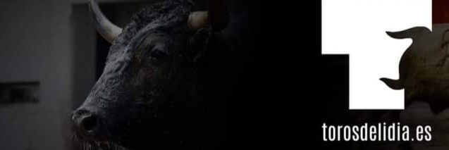 Toros de Lidia's banner