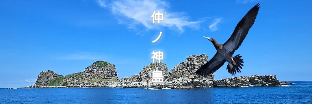 𓇼*𝓶𝓪𝓲* ❥(ؓؒؒؑؑؖؔؓؒؐؐ⁼̴̀ωؘؙؖؕؔؓؒؑؐؕ⁼̴̀ )'s banner