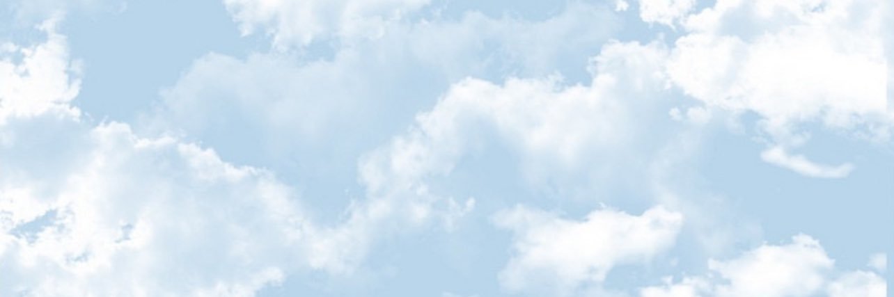 mich's banner