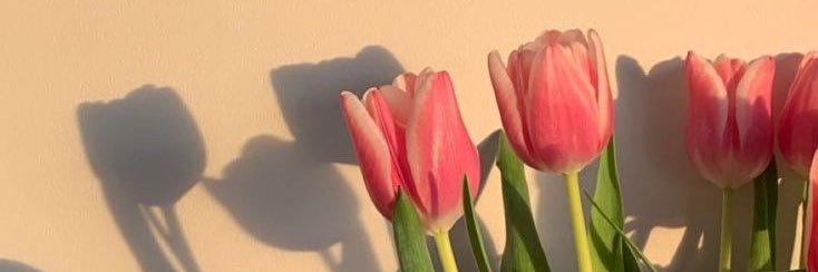 Isa_contextos♡ ||BG💜's banner