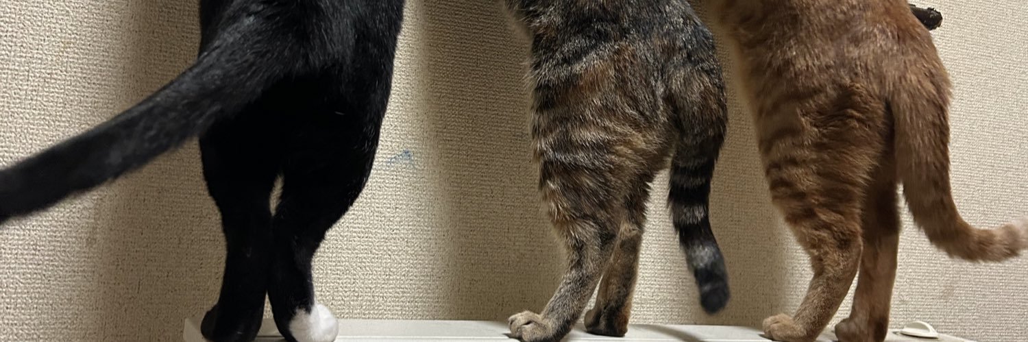 もずのあ🐈‍⬛'s banner