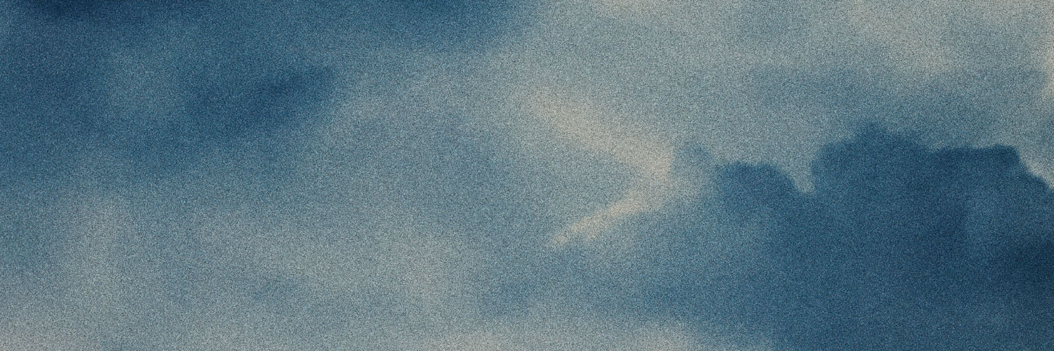 Sarah McLachlan's banner