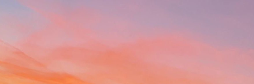 mia's banner