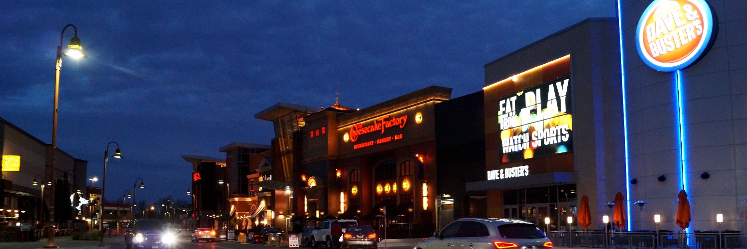 Walden Galleria's banner