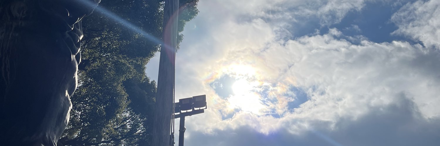谷口布実 （Fumi Taniguchi）'s banner