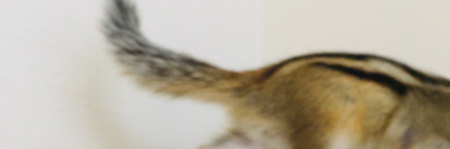しましま's banner