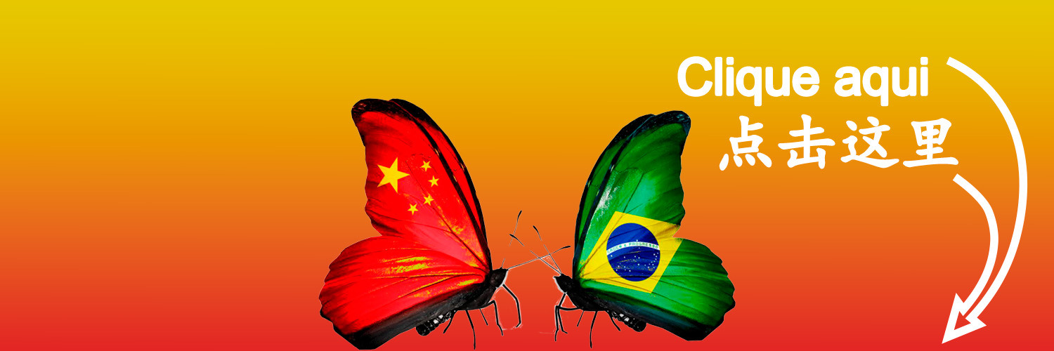 Xiao Mandarim 🇧🇷 + 🇨🇳 = ❤️'s banner