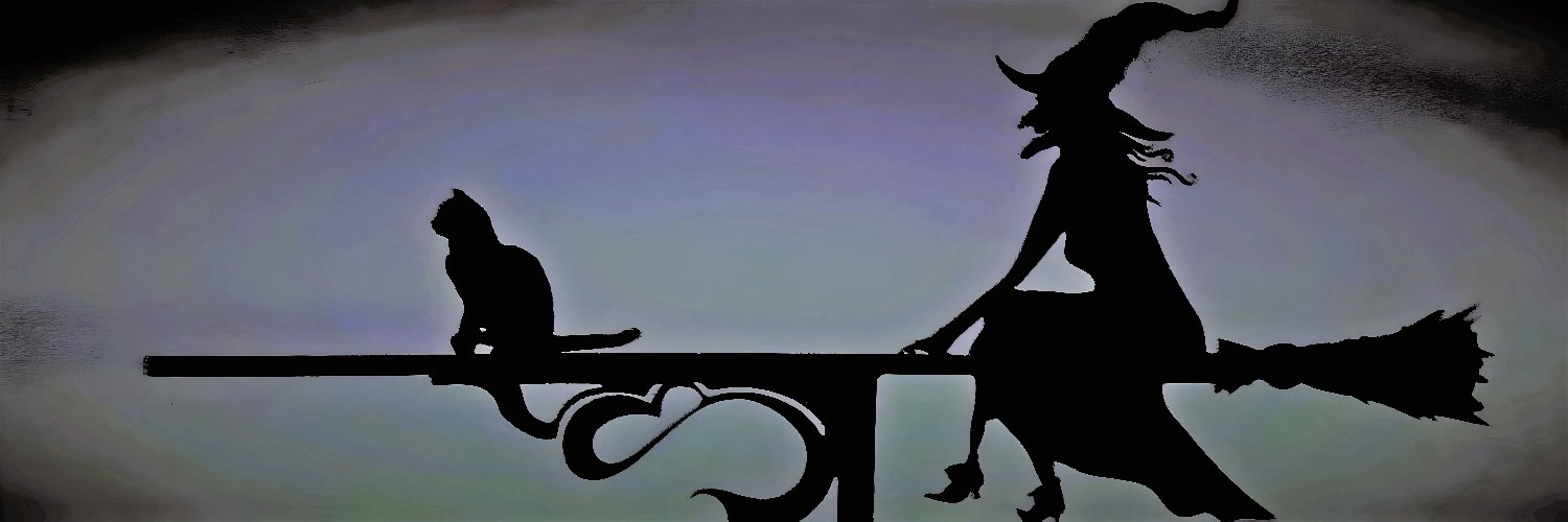 ヘルキャット🐈‍⬛'s banner