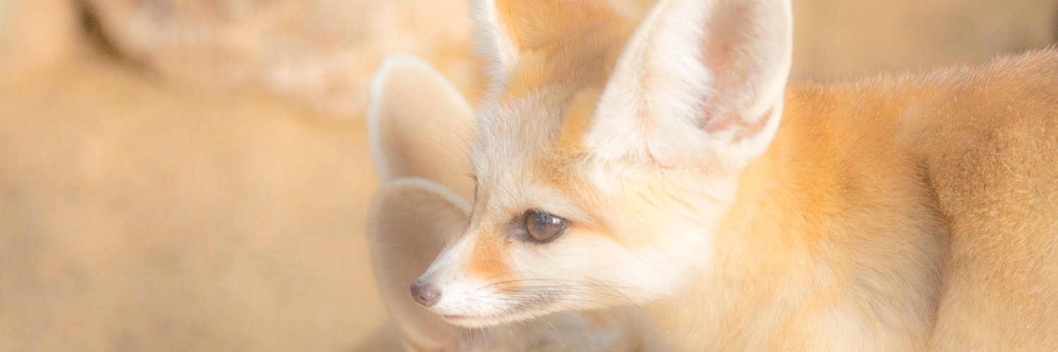 かに玉☆*ﾟ ゜ﾟ*ヾ(☆ｕ∂)'s banner