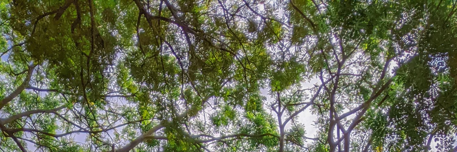 DeewDw's banner