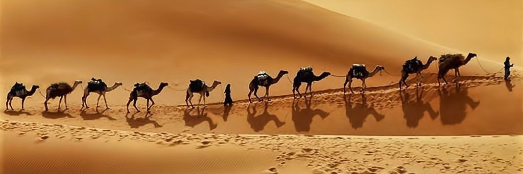 「مَكْلوم」's banner