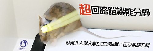 松井 広 / Ko Matsui's banner