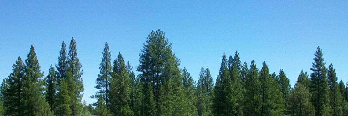 Oregon Parks Dept.'s banner