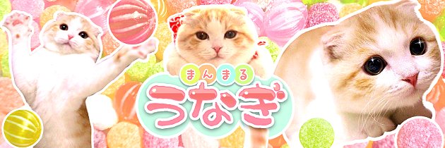 うなぎ(うなちゃん)'s banner