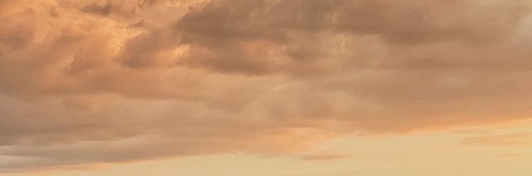 gwen ☾'s banner