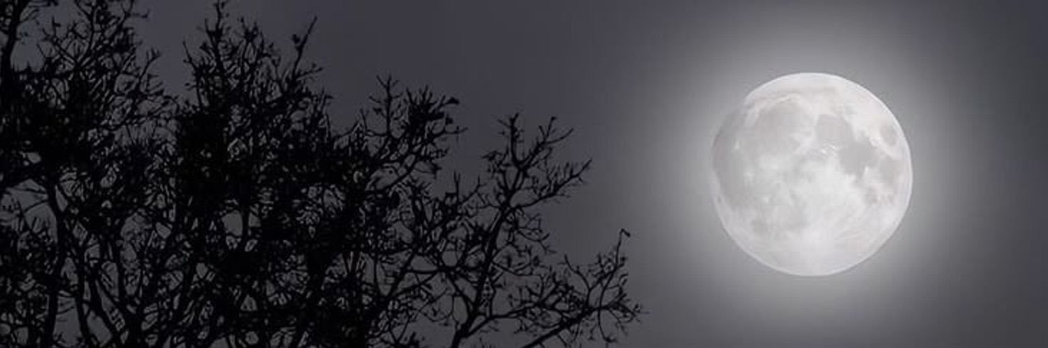 مبتسم's banner