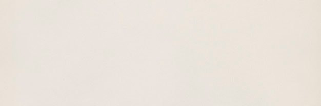 백셜's banner