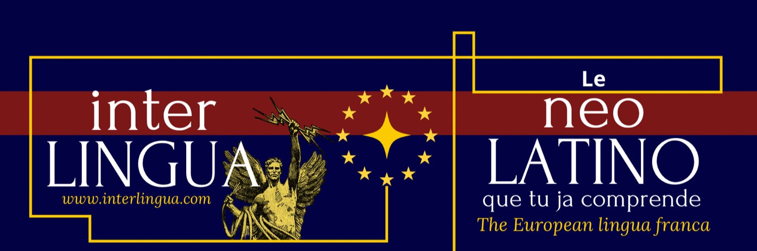 Omne Europa's banner