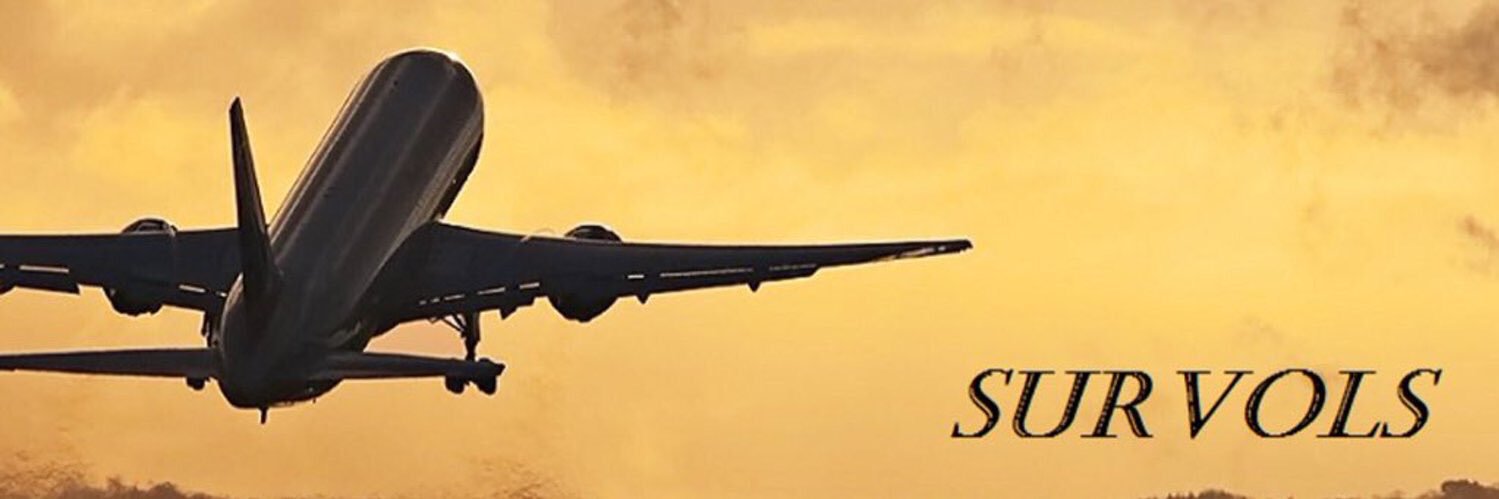 Survols (Aeronautics and Space)'s banner