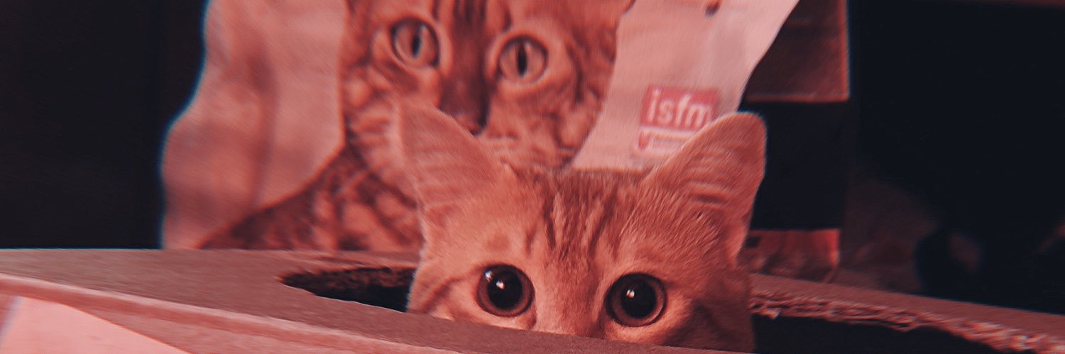 🦅𝐇𝐚𝐲𝐯𝐚𝐧𝐬𝐞𝐯𝐞𝐫 𝐁𝐢𝐫 𝐌𝐮𝐬𝐭𝐚𝐟𝐚🐾's banner