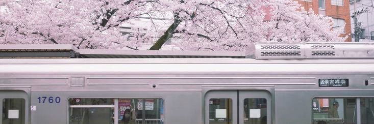 Jef 🌸's banner