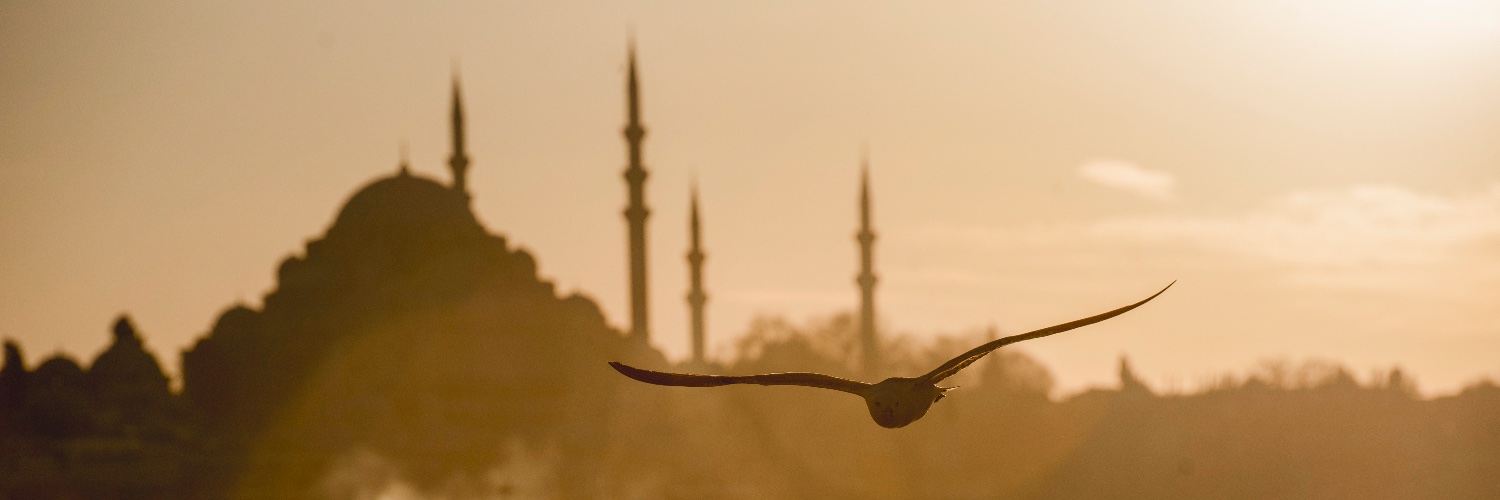 Ayşegül Kurt's banner