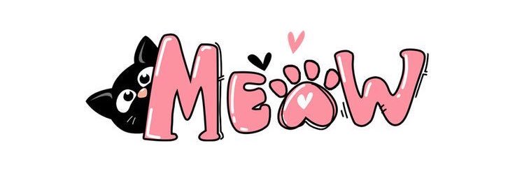 قطه متوحشه🐈‍⬛'s banner