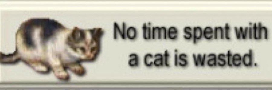 nat's banner