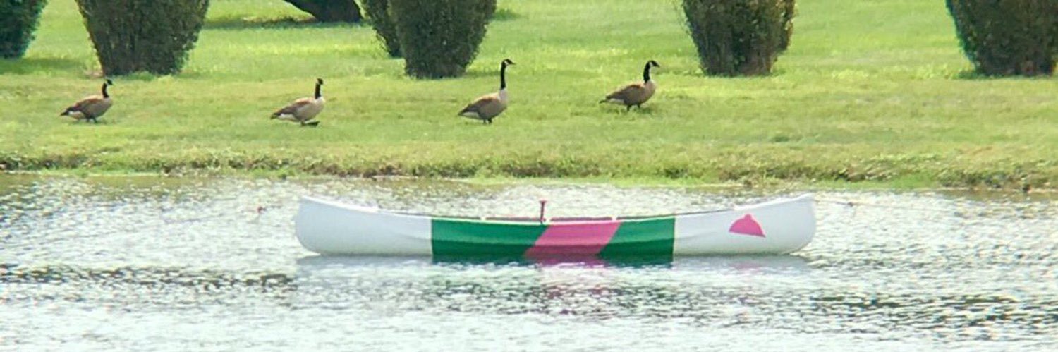 Spa Infield Goose's banner