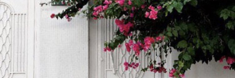 قصيمية's banner