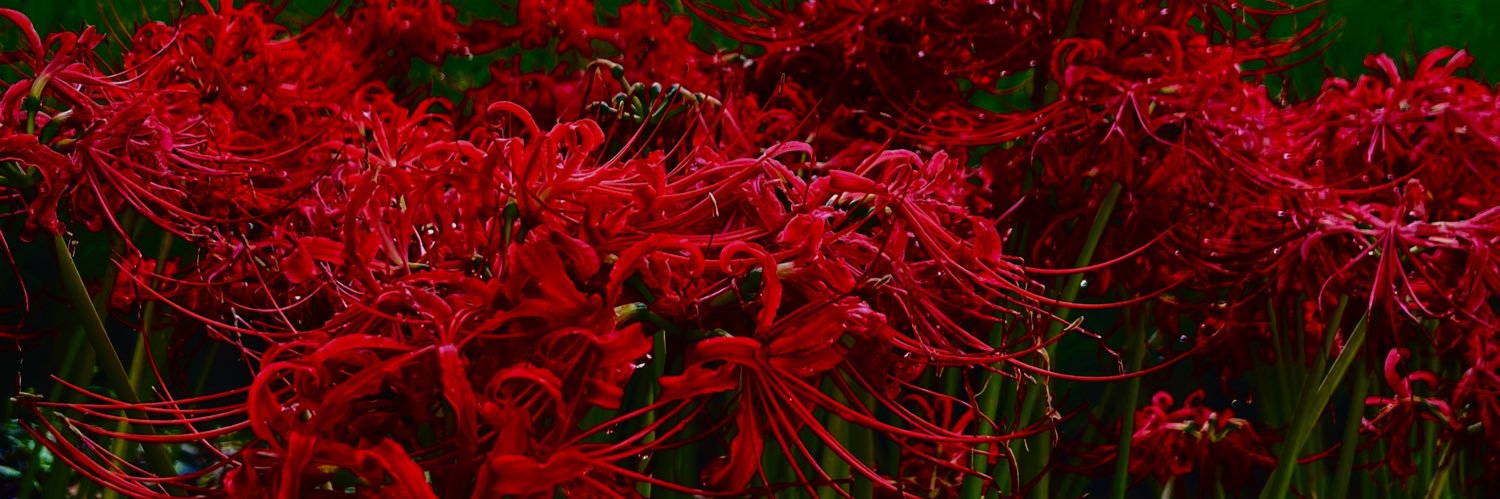 蛇喰るり's banner