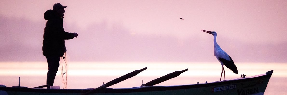 Esen Gök's banner