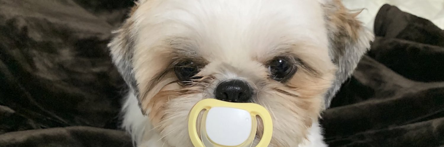渡邉九歳(ザ・シスターズハイ)'s banner