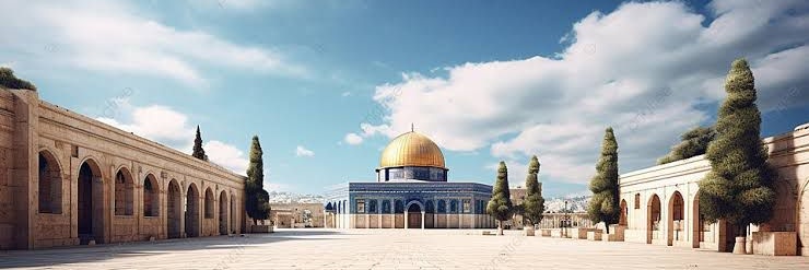 د/عادل راشد's banner