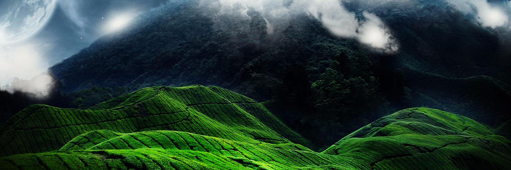 الزراعة والطبيعة 🌳's banner